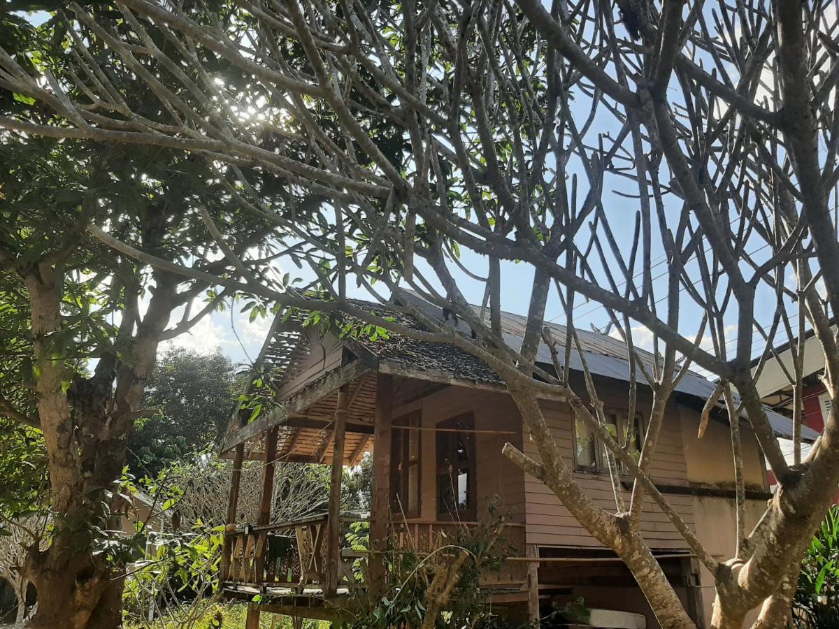 Pai River Jam Hostel & Campground Exteriér fotografie
